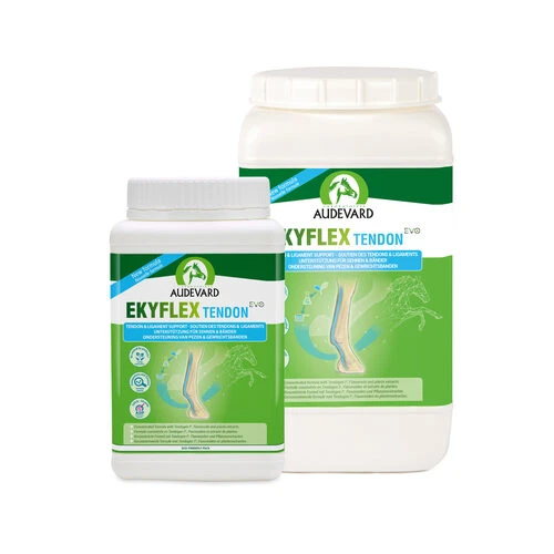 Cavalo Tiere Geschaft -Cavalo Tiere Geschaft