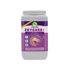 Audevard Ekygard 7 Audevard Ekygard -Cavalo Tiere Geschaft audevard ekygard 219734 0500 none