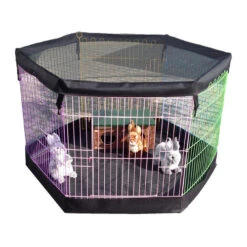 Boon Nagetier- & Kaninchen-Freilaufgehege 15 Boon Nagetier- & Kaninchen-Freilaufgehege -Cavalo Tiere Geschaft boon knaagdieren konijnenren 130808 0500 none