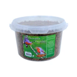 Boon Mehlwürmer 4-Jahreszeiten