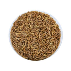 Cavalo Tiere Geschaft 23 Cavalo Tiere Geschaft -Cavalo Tiere Geschaft boon meelwormen 4 seizoenen 170842 0500 none