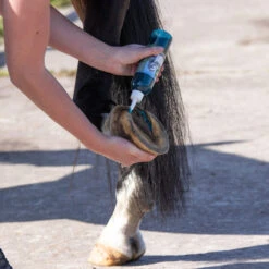 Equi Protecta Blue Wonder Gel 6 Equi Protecta Blue Wonder Gel -Cavalo Tiere Geschaft equi protecta blue wonder gel 161237 0500 none