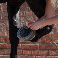 Equi Protecta Blue Wonder Gel 7 Equi Protecta Blue Wonder Gel -Cavalo Tiere Geschaft equi protecta blue wonder gel 161240 0500 none