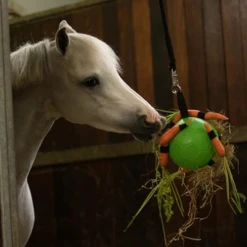 Maximus Fun Play Ball Für Pferde -Cavalo Tiere Geschaft maximus fun play ball voor paarden 207830 0500 none