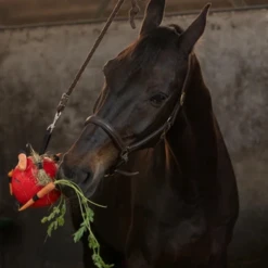 Maximus Fun Play Ball Für Pferde -Cavalo Tiere Geschaft maximus fun play ball voor paarden 207833 0500 none