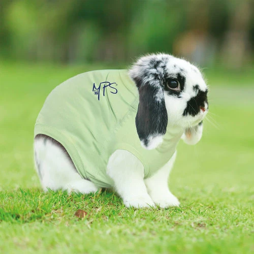 Medical Pet Shirt Kaninchen 6 Medical Pet Shirt Kaninchen – Bild 4