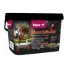 Pavo MuscleBuild -Cavalo Tiere Geschaft pavo musclebuild 144995 0500 none