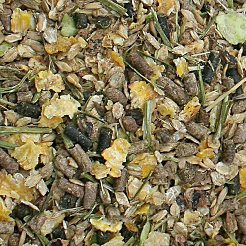 Bonpard Senior 4 Bonpard Senior – Bild 2