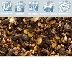 Cavalor Endurix -Cavalo Tiere Geschaft product cavalor endurix none 4 1481106805 81775