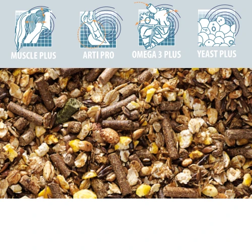 Cavalor Perfomix 4 Cavalor Perfomix – Bild 2