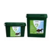 Excellent Licosan Forte 1 Excellent Licosan Forte -Cavalo Tiere Geschaft product excellent licosan none 4 1468569688 71275
