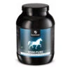 Synovium MSM Pure -Cavalo Tiere Geschaft product synovium msm pure none 4 1470388989 73594