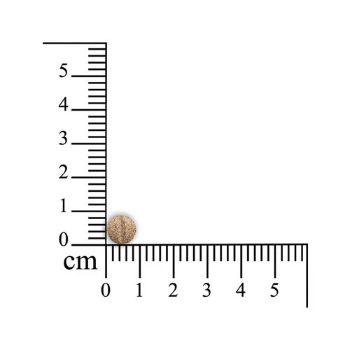 Pulmitranq - Kleine Haustiere 4 Pulmitranq - Kleine Haustiere – Bild 2