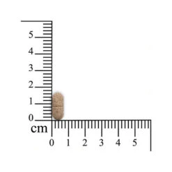 Pulmitranq Pferd -Cavalo Tiere Geschaft sensipharm pulmitranq paard 174541 0500 none