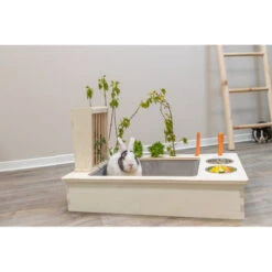 Trixie Futterstation Für Nager 9 Trixie Futterstation Für Nager -Cavalo Tiere Geschaft trixie voederstation voor knaagdieren 207428 0500 none